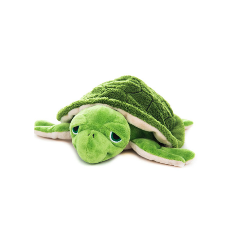 Wasserschildkröte