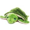 Wasserschildkröte