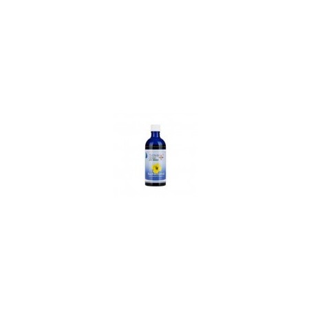 Nachtkerzenöl 100 % naturrein 100ml