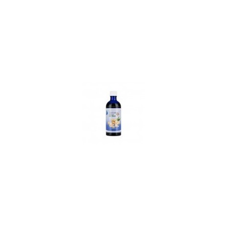 Ingweröl 100 ml