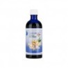 Ingweröl 100 ml