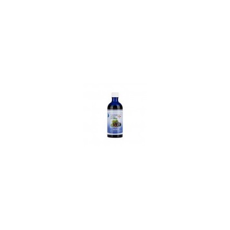 Bio Holunderkernöl 100 ml