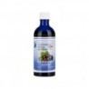 Bio Holunderkernöl 100 ml
