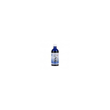 Schwarzkümmelöl 100 ml