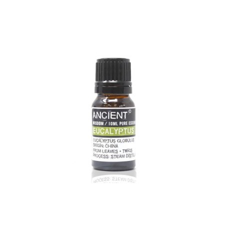 Eukalyptusöl 10ml