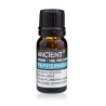 Pfefferminzöl 10ml