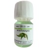 Eliga Konzentrat Eukalyptus 30ml