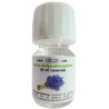 Eliga Konzentrat Lavendel 30ml