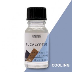 Duftöle - Eukalyptus 10 ml